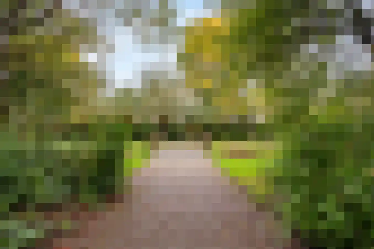 Wulkenbank 8 Leiden thumbnail 40