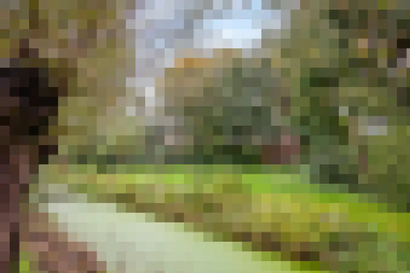 Wulkenbank 8 Leiden thumbnail 41