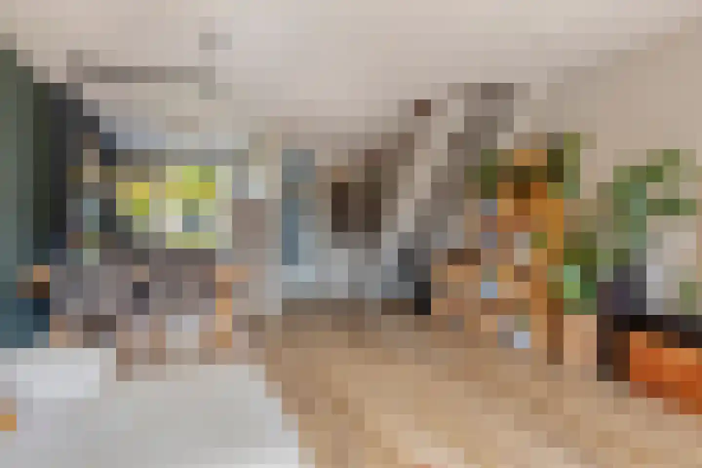 Wulkenpad 25 Zierikzee thumbnail 10