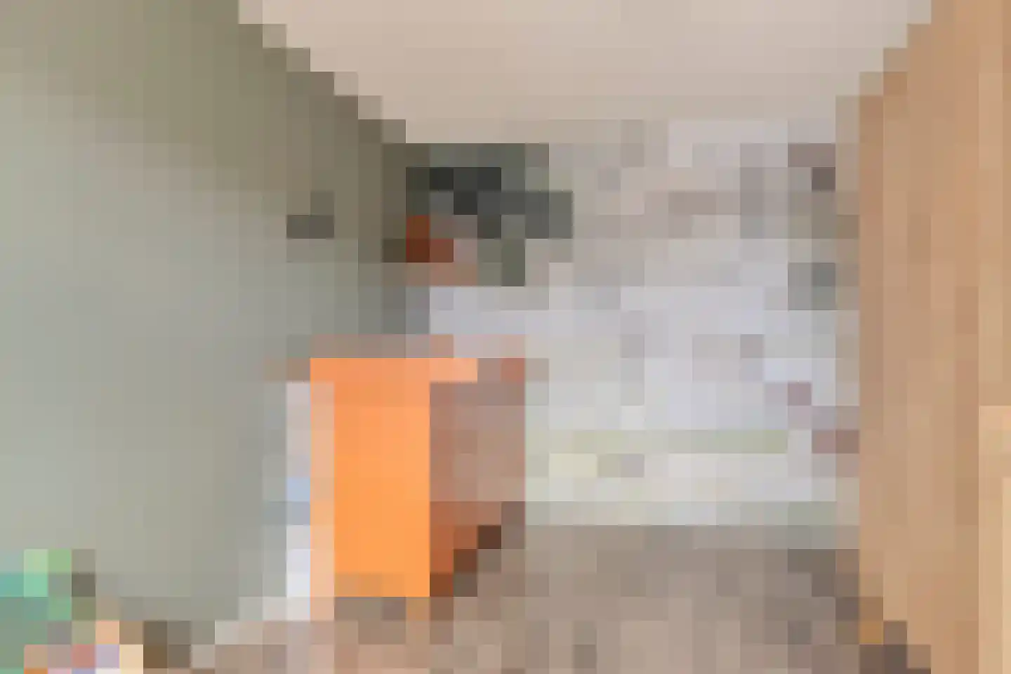 Wulkenpad 25 Zierikzee thumbnail 25