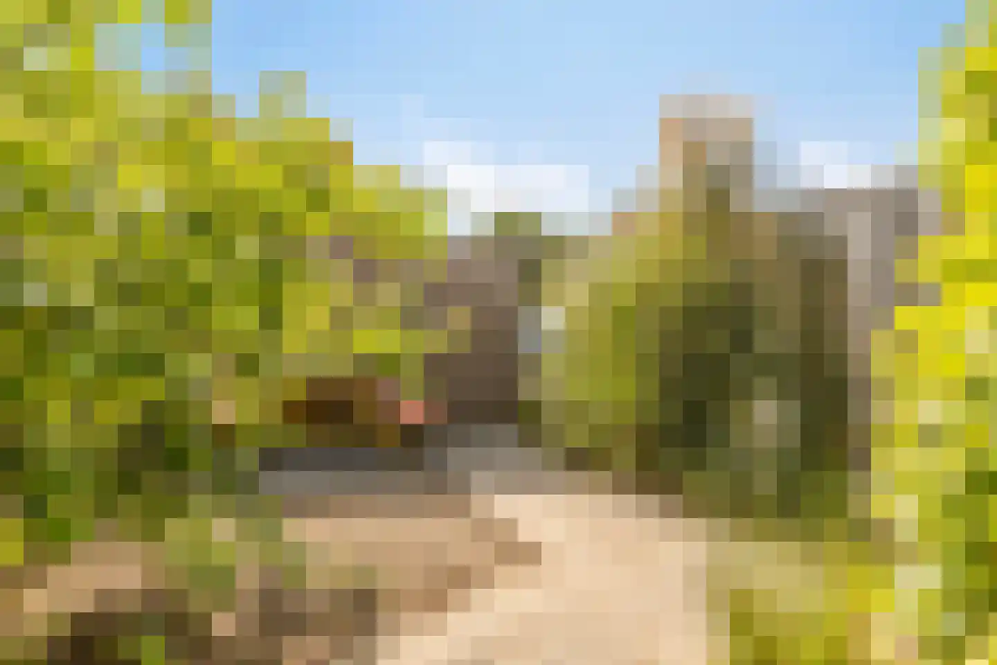 Wulkenpad 25 Zierikzee thumbnail 33