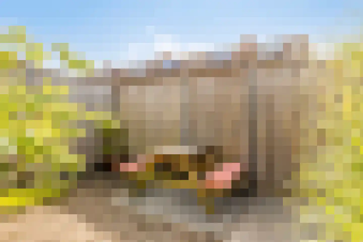 Wulkenpad 25 Zierikzee thumbnail 34
