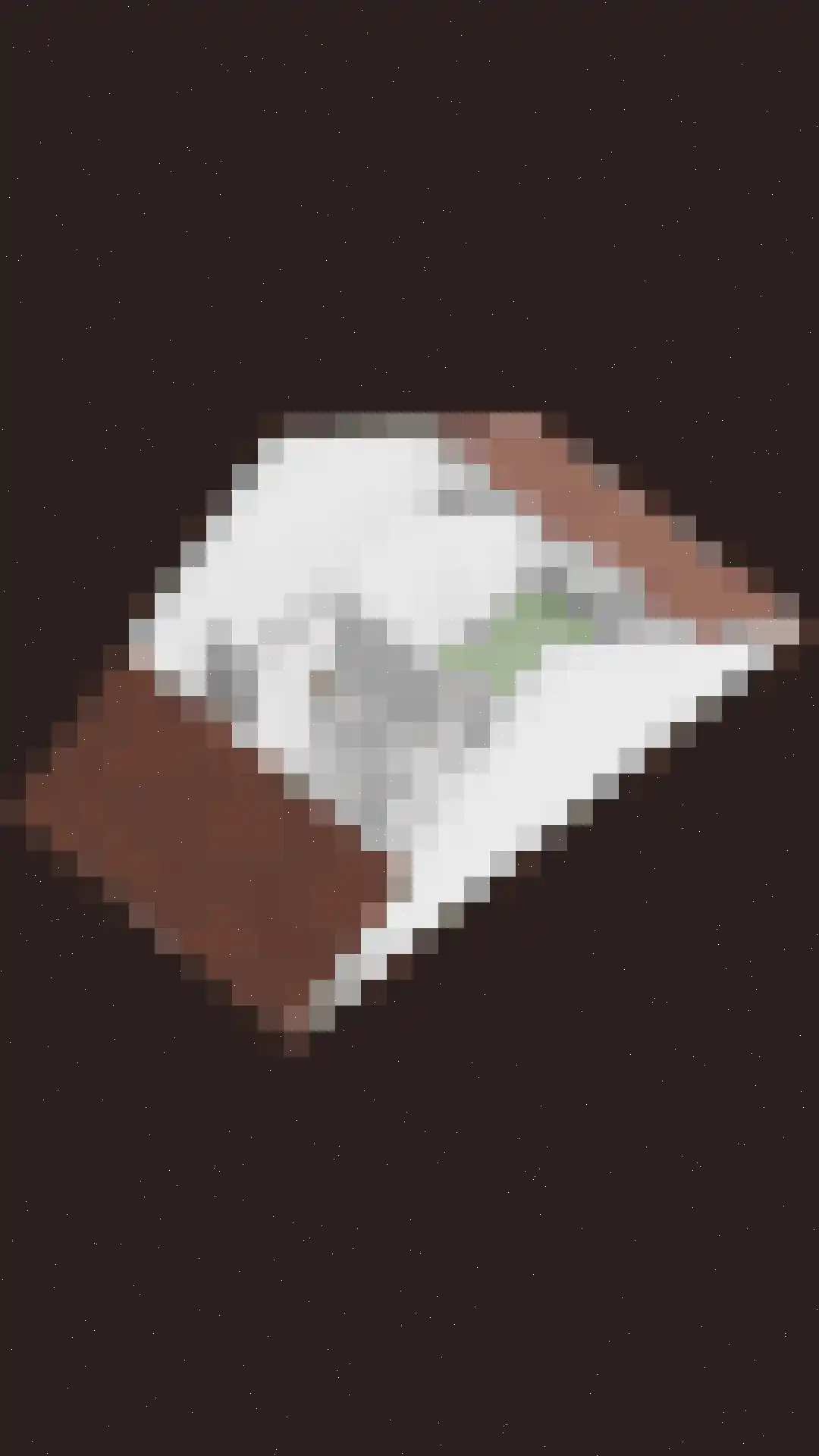 Wulkenpad 25 Zierikzee thumbnail 45