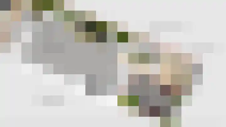 Wulkenpad 27 Zierikzee thumbnail 36