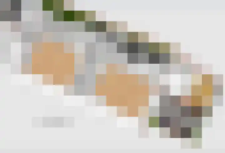 Wulkenpad 27 Zierikzee thumbnail 38