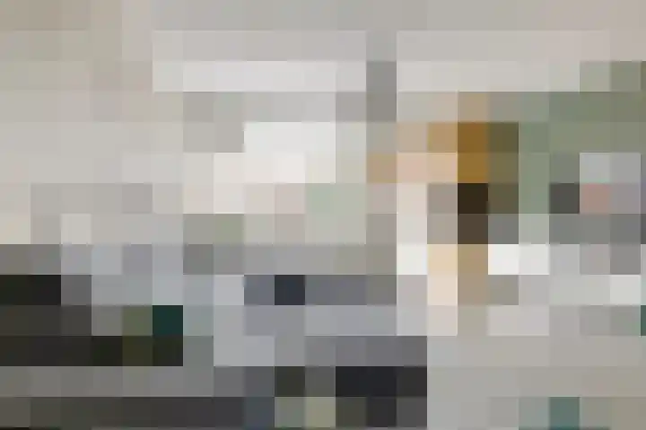 Wulkenpad 27 Zierikzee thumbnail 7