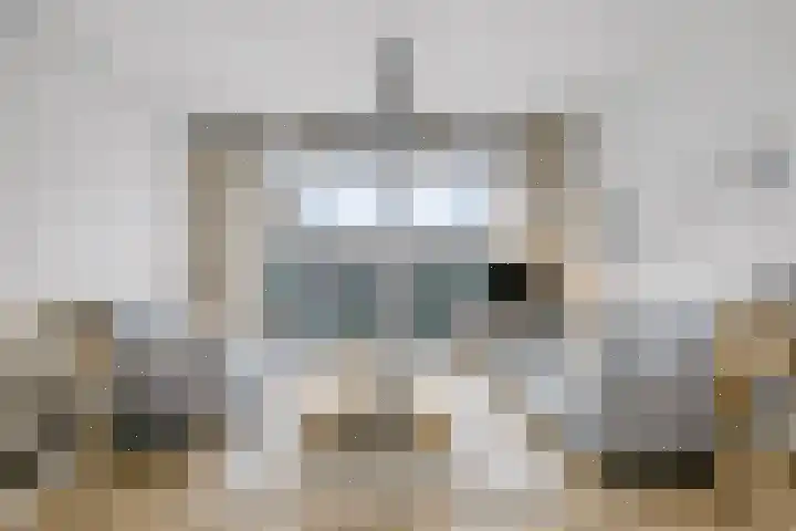 Wulkpad 21 Zoutelande thumbnail 15