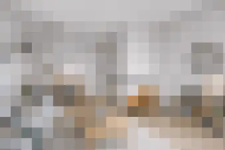 Wulkpad 21 Zoutelande thumbnail 16