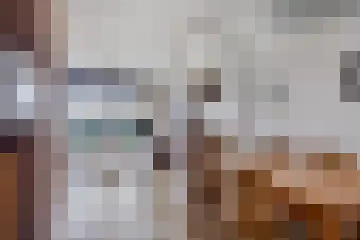Wulkpad 21 Zoutelande thumbnail 19