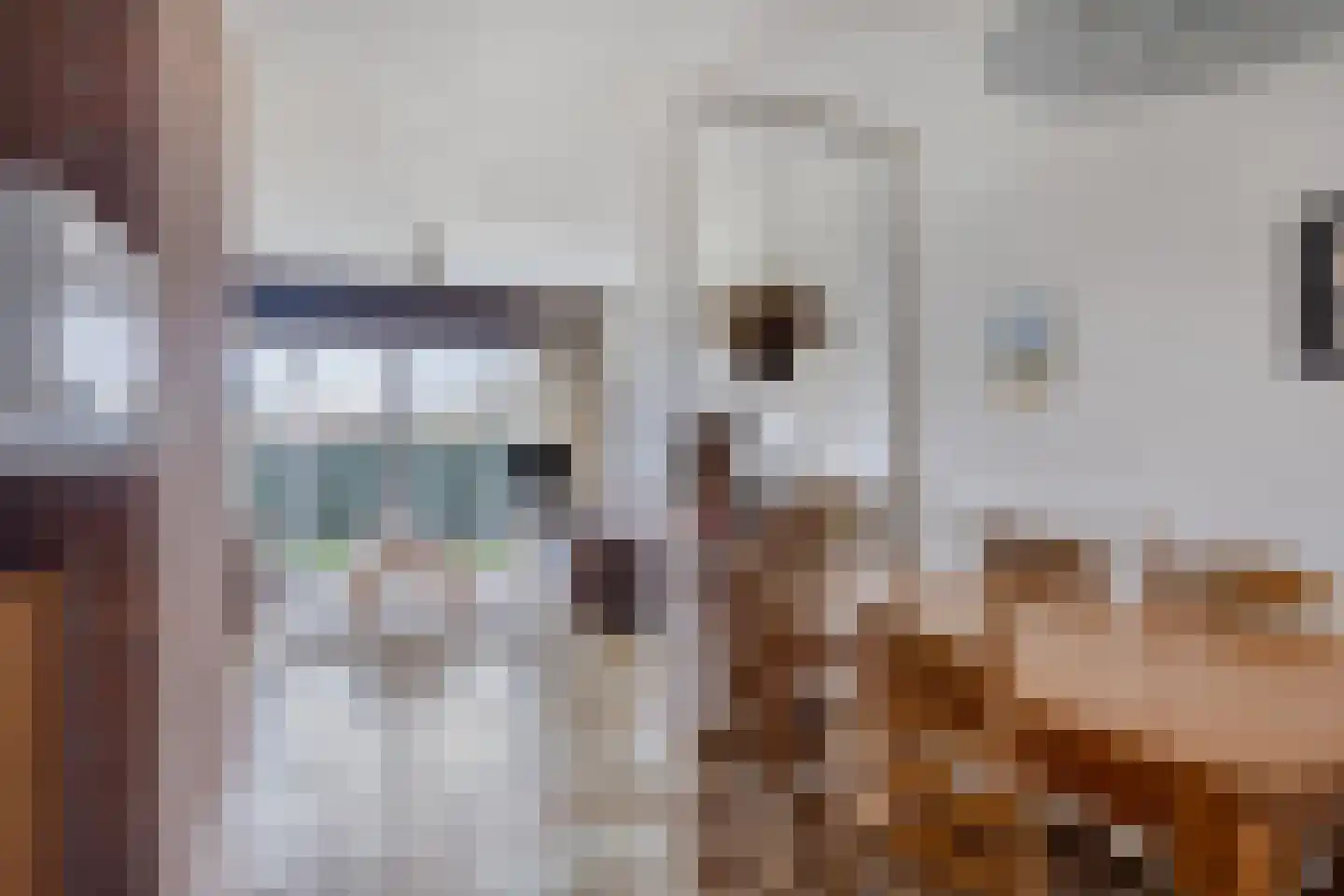 Wulkpad 21 Zoutelande thumbnail 22