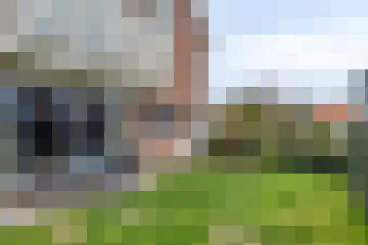 Wulkpad 21 Zoutelande thumbnail 24