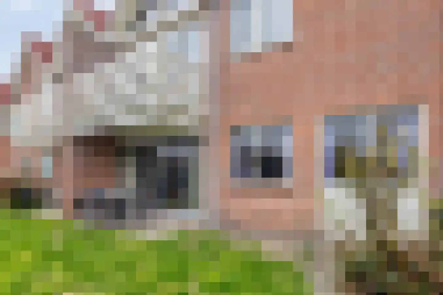 Wulkpad 21 Zoutelande thumbnail 27