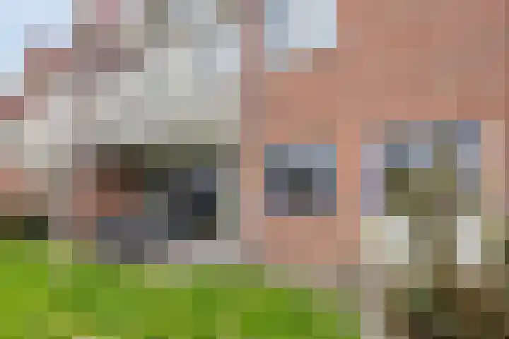 Wulkpad 21 Zoutelande thumbnail 27