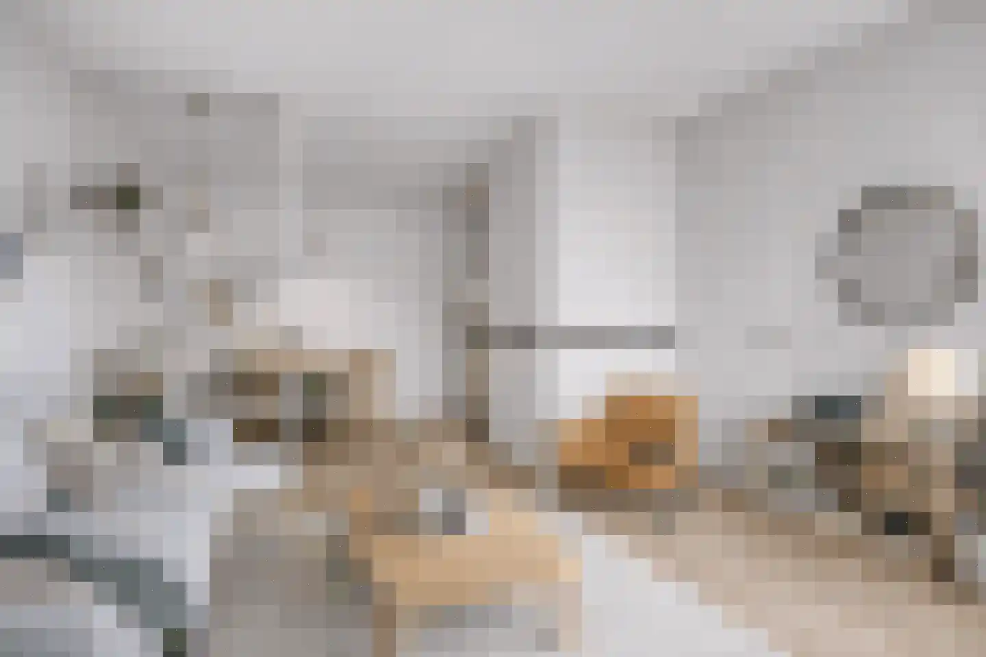 Wulkpad 21 Zoutelande thumbnail 4