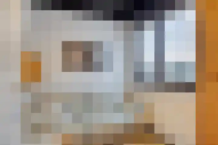 Wulkpad 31 Zoutelande thumbnail 14