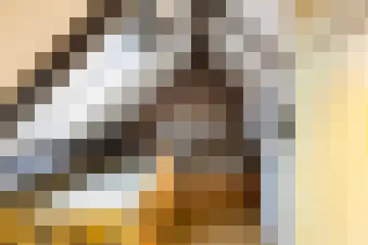Wulkpad 31 Zoutelande thumbnail 16