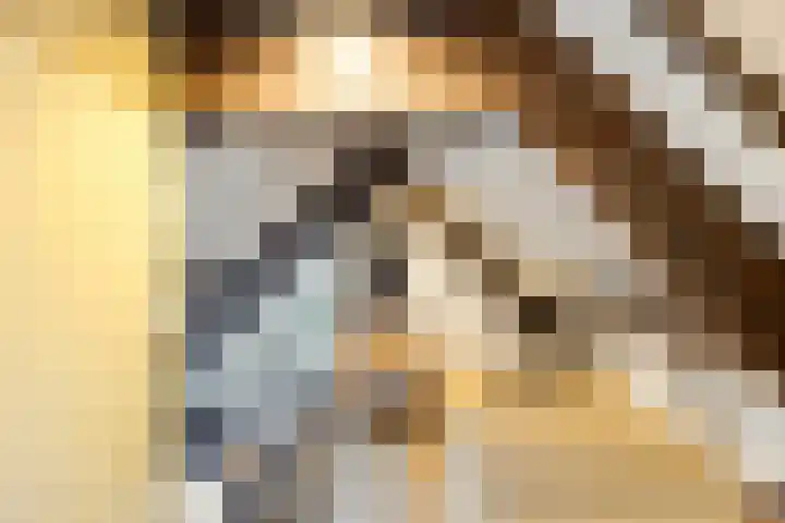 Wulkpad 31 Zoutelande thumbnail 17