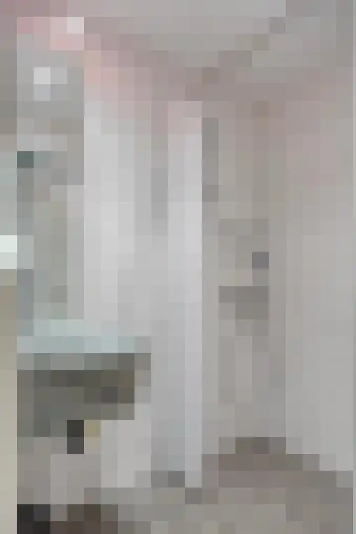 Wulkpad 31 Zoutelande thumbnail 19