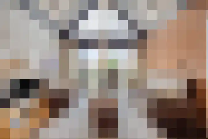 Wulkpad 31 Zoutelande thumbnail 20