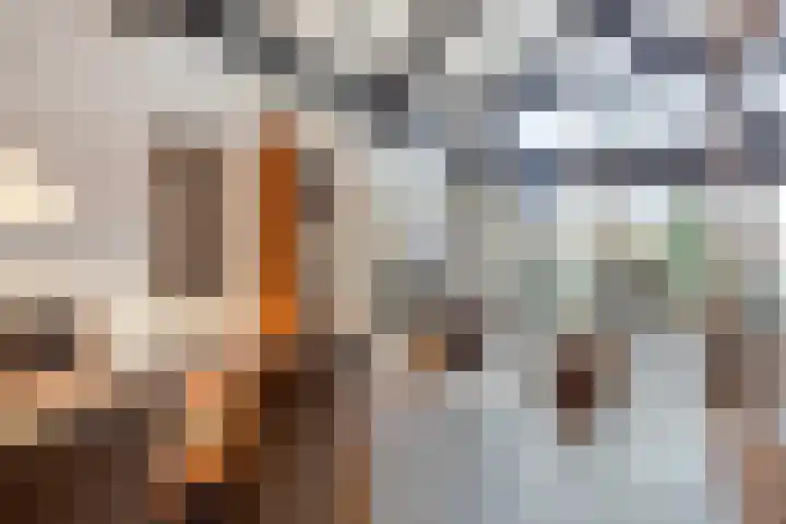 Wulkpad 31 Zoutelande thumbnail 23