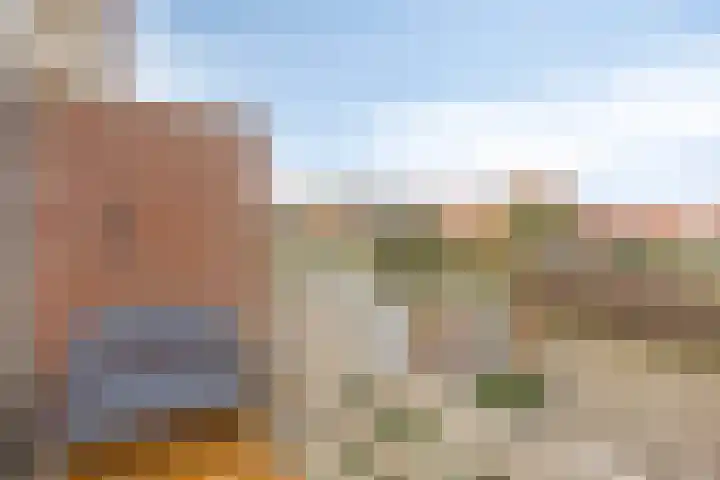 Wulkpad 31 Zoutelande thumbnail 24