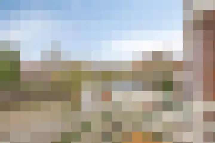 Wulkpad 31 Zoutelande thumbnail 25