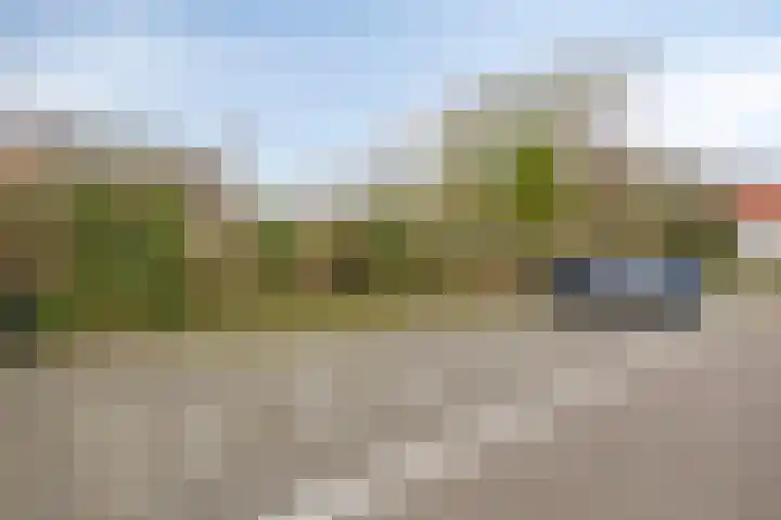 Wulkpad 31 Zoutelande thumbnail 29