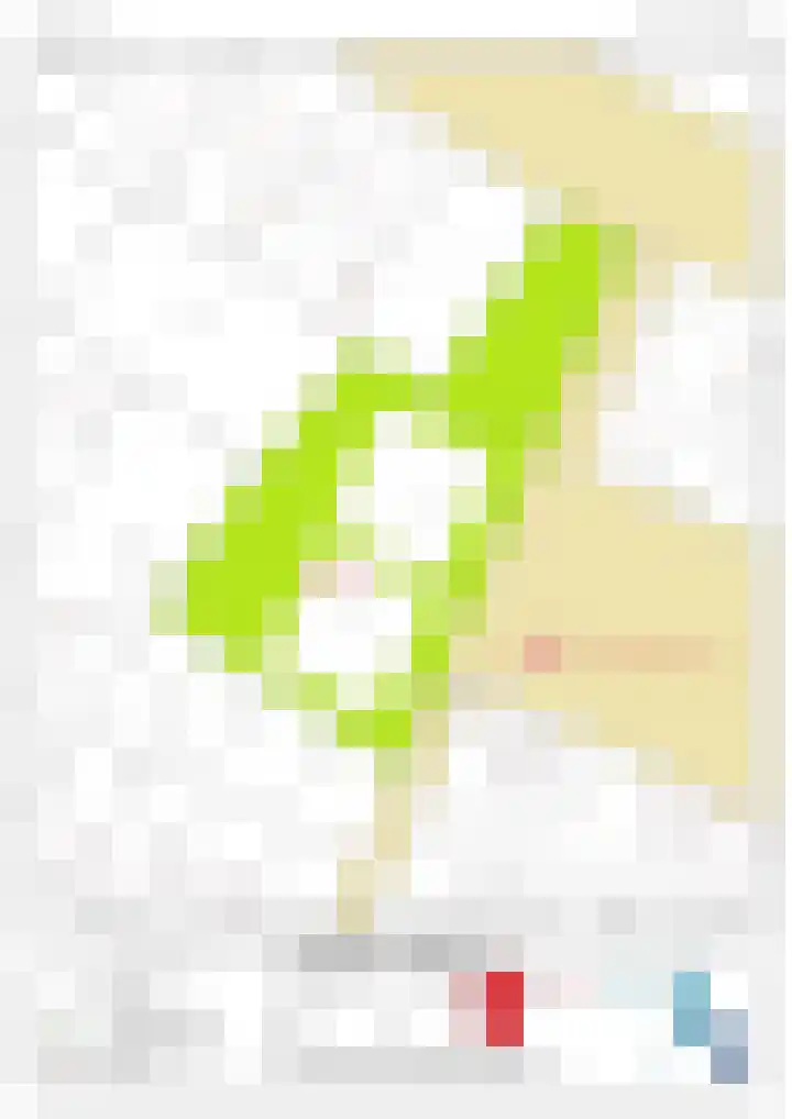 Wulkpad 31 Zoutelande thumbnail 30