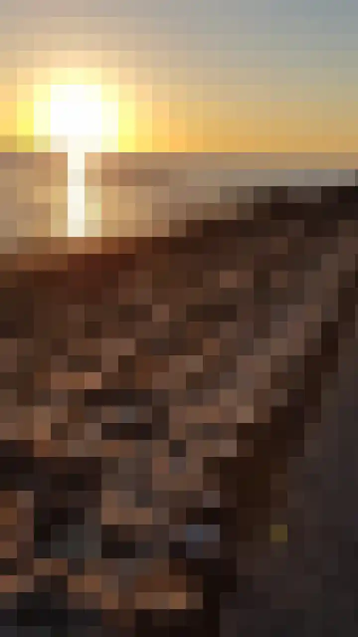 Wulkpad 31 Zoutelande thumbnail 34