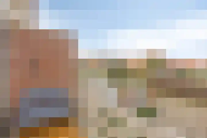 Wulkpad 31 Zoutelande thumbnail 4