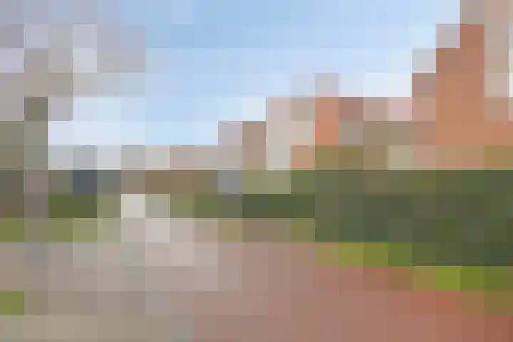Wulkpad 31 Zoutelande thumbnail 5