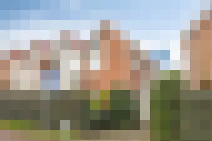 Wulkpad 31 Zoutelande thumbnail 6