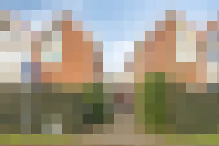 Wulkpad 31 Zoutelande thumbnail 7