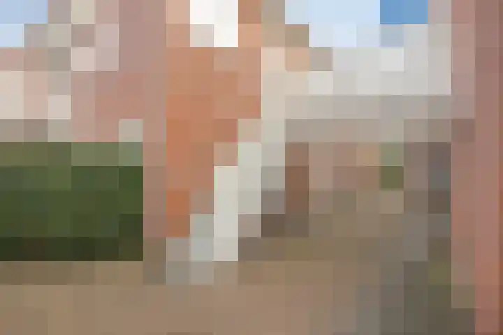 Wulkpad 31 Zoutelande thumbnail 8