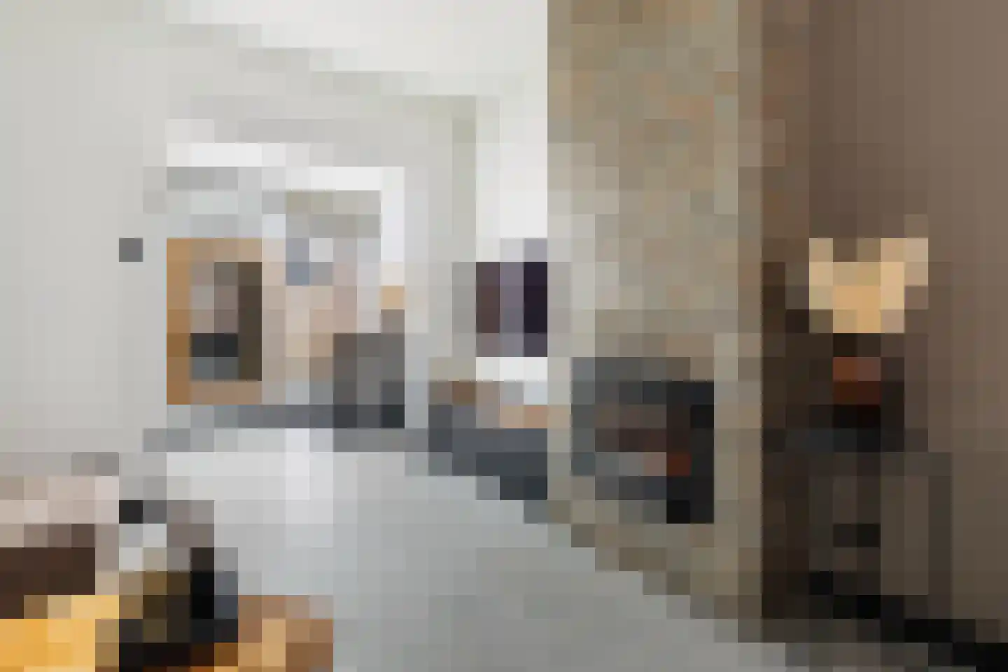 Wullenhovenstraat 11 Nijkerk thumbnail 9