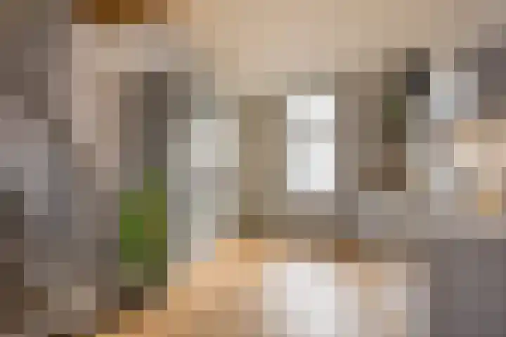 Wullenhovenstraat 38 Nijkerk thumbnail 5
