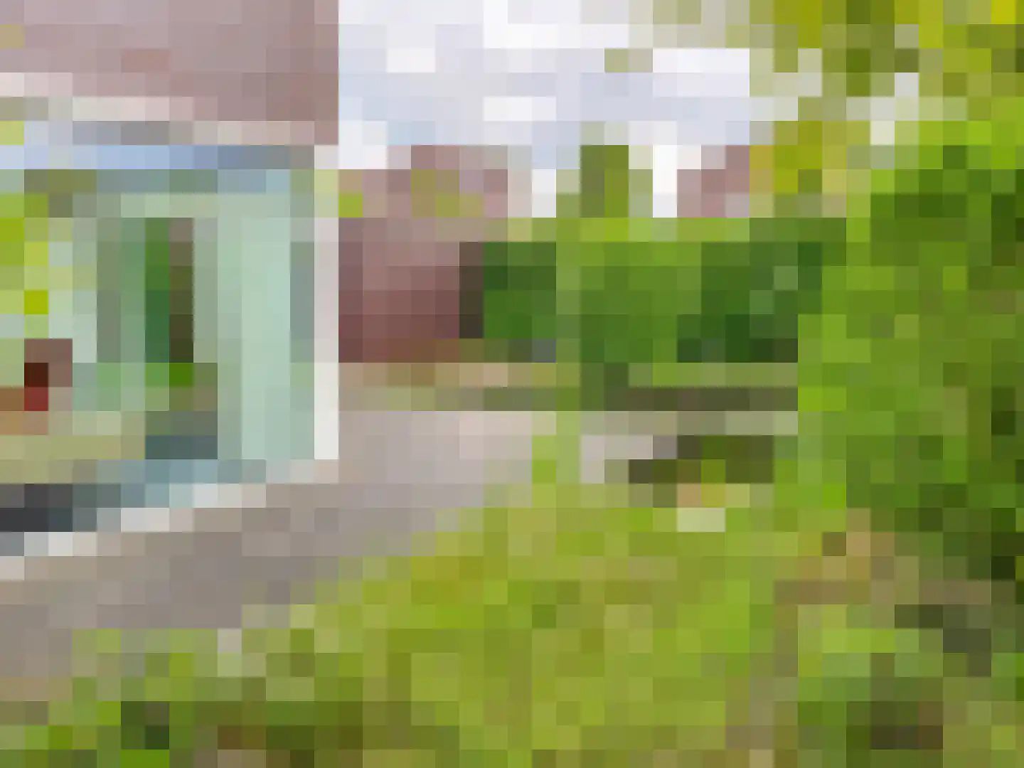 Wulp 14 Waspik foto 2