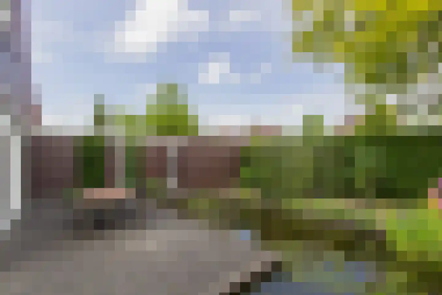 Wulp 14 Waspik foto 2