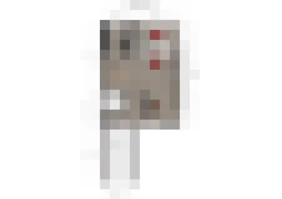 Wulp 14 Waspik thumbnail 23
