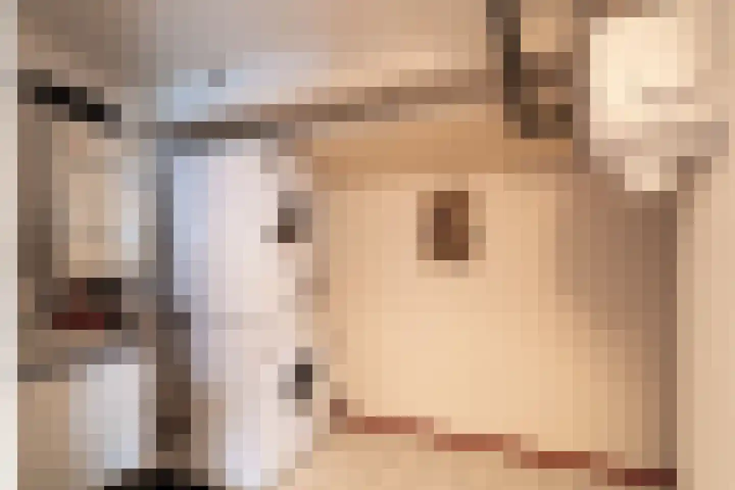 Wulp 14 Waspik thumbnail 26