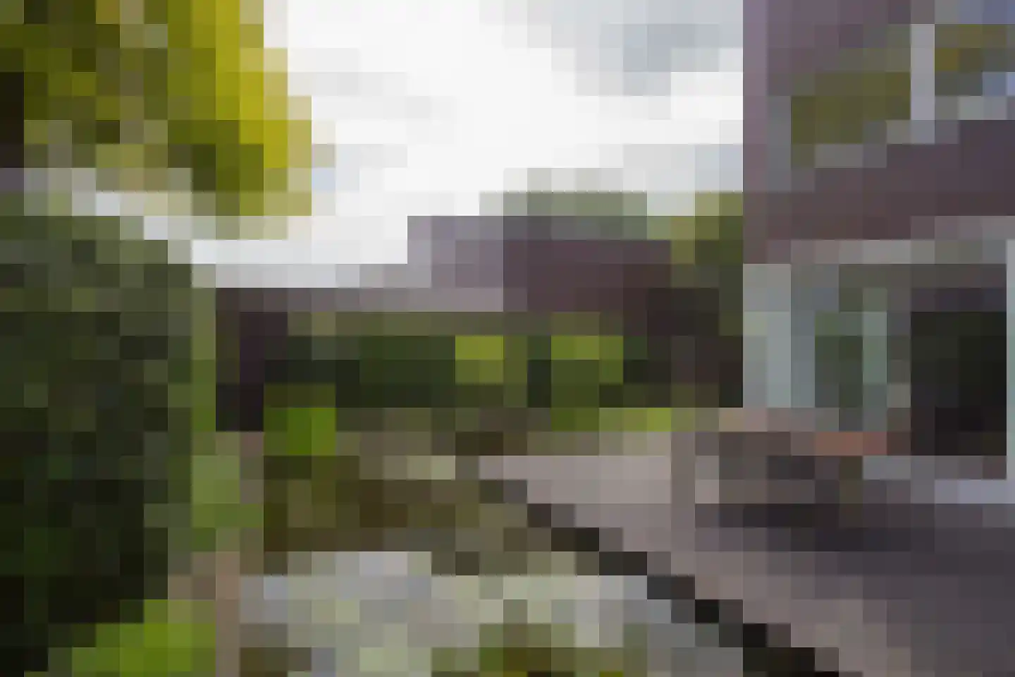 Wulp 14 Waspik foto 3