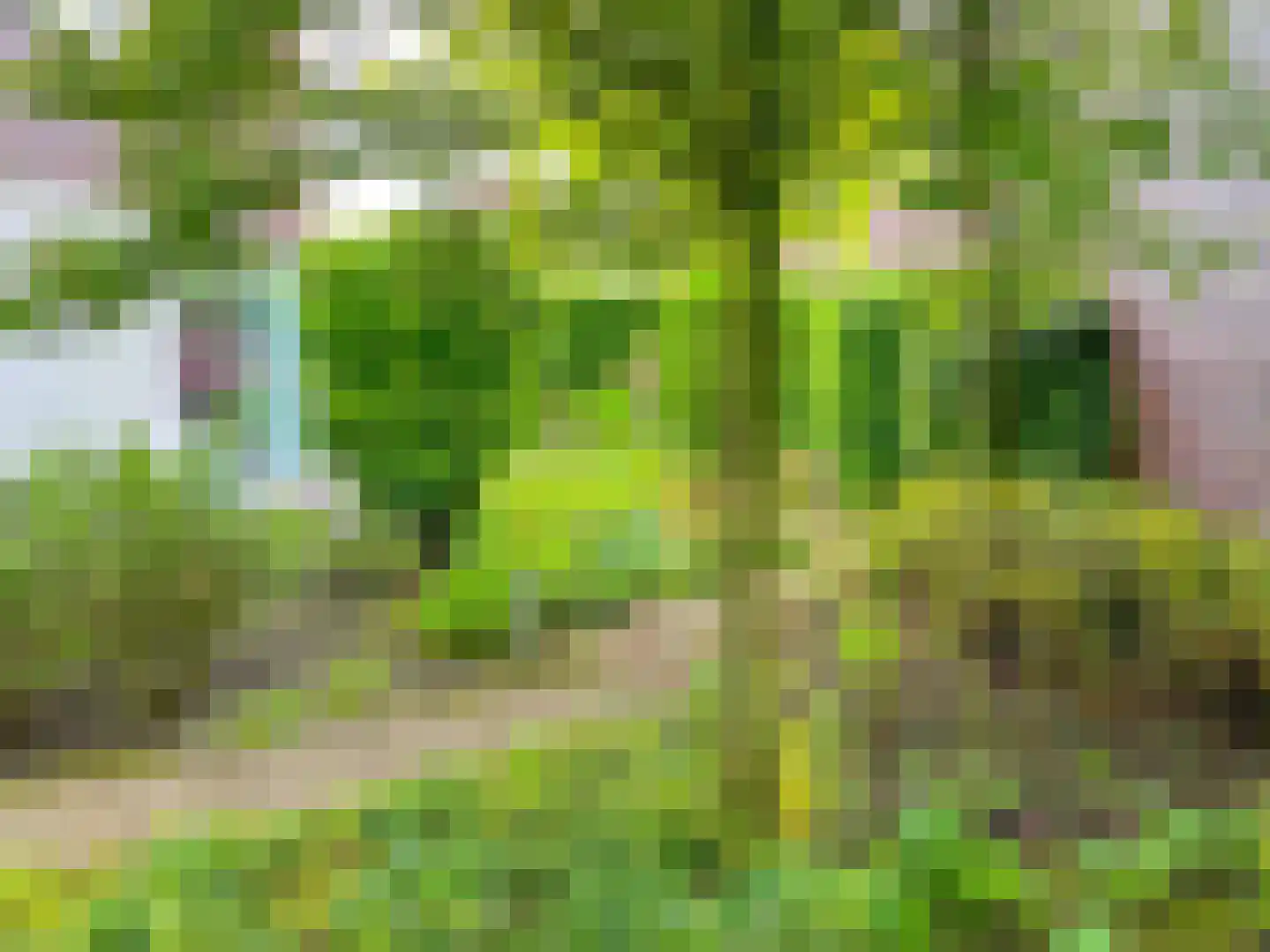 Wulp 14 Waspik thumbnail 4