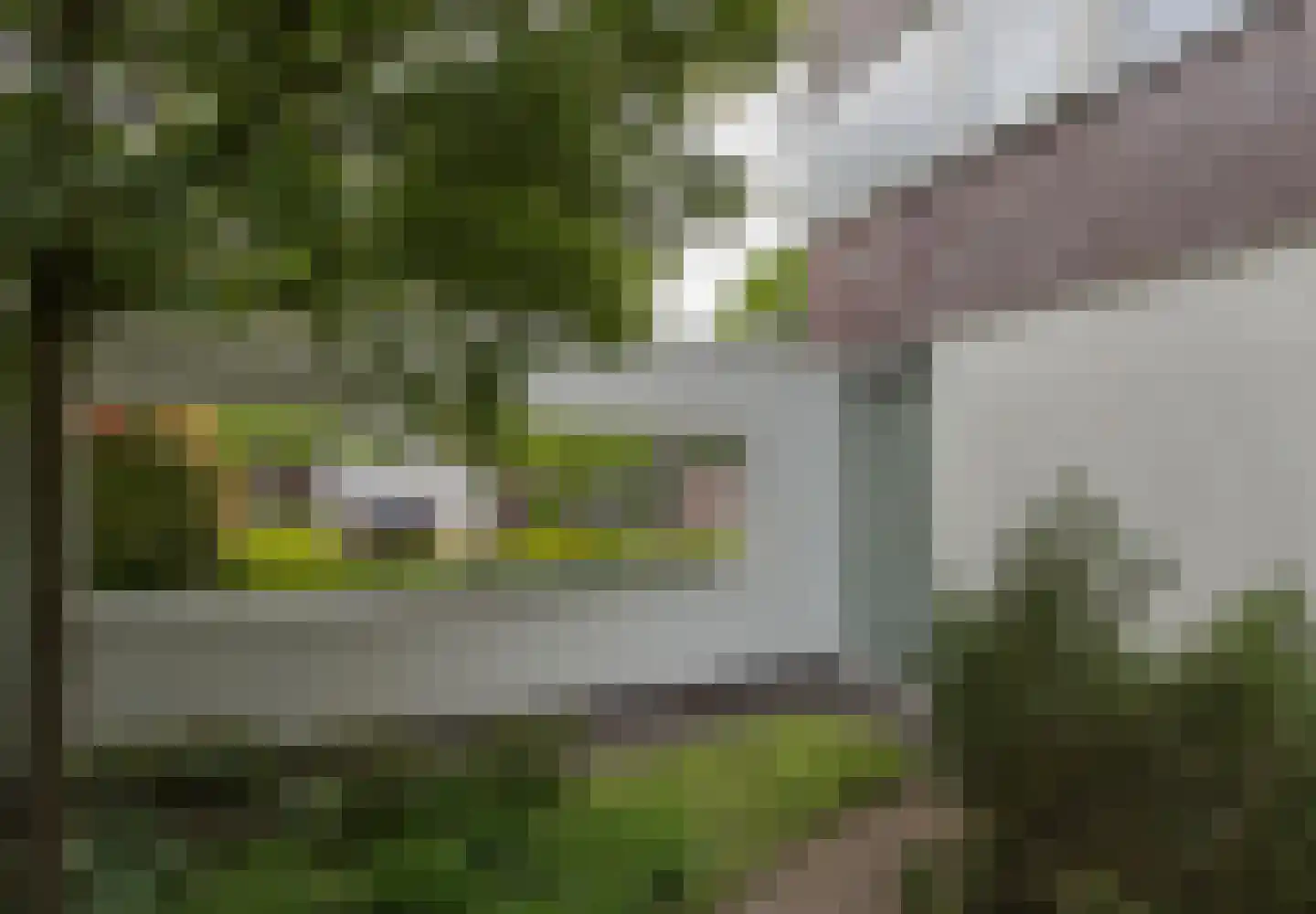 Wulp 14 Waspik thumbnail 5
