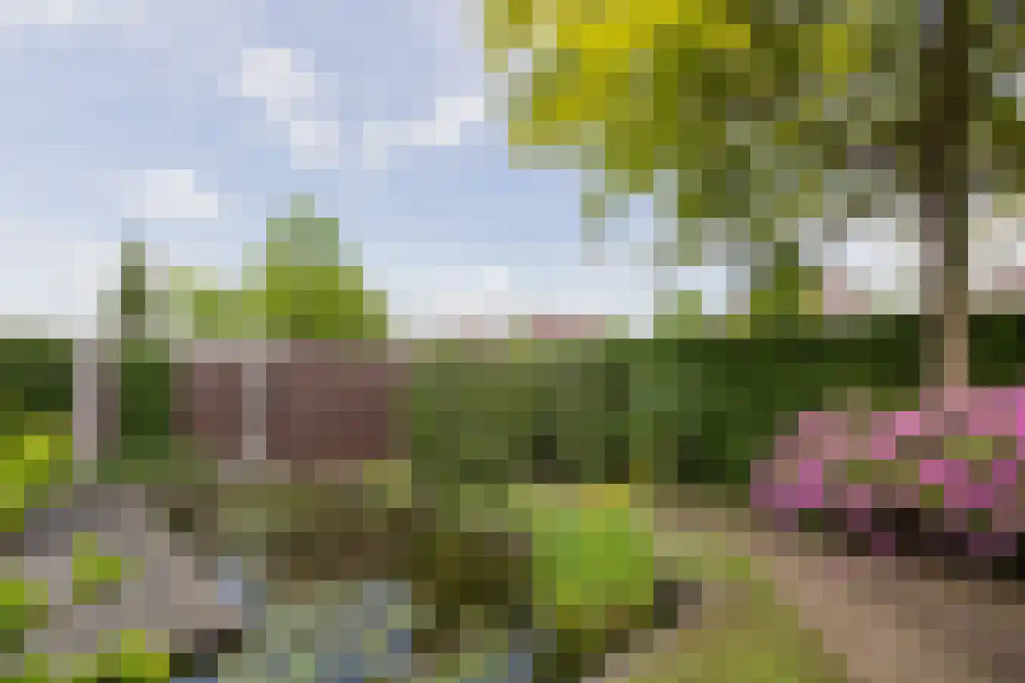 Wulp 14 Waspik thumbnail 6