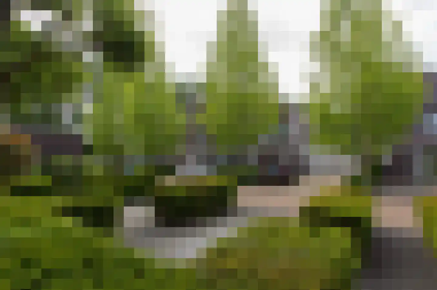 Wulp 14 Waspik thumbnail 6