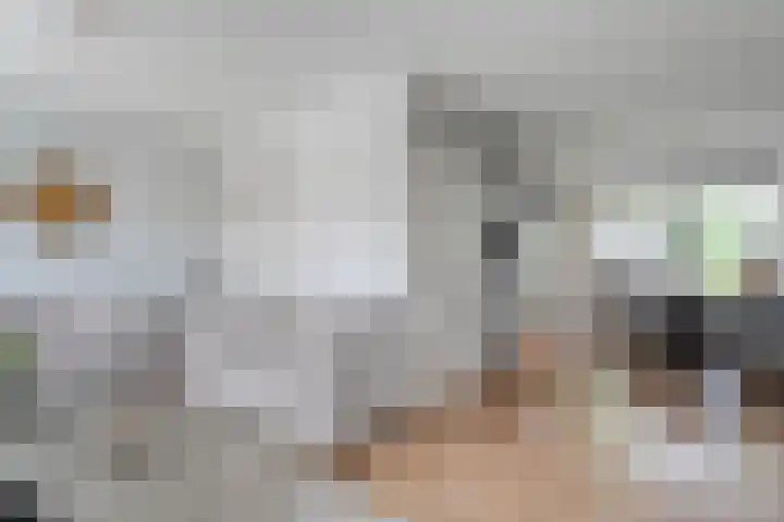 Wulp 26 Raalte thumbnail 10