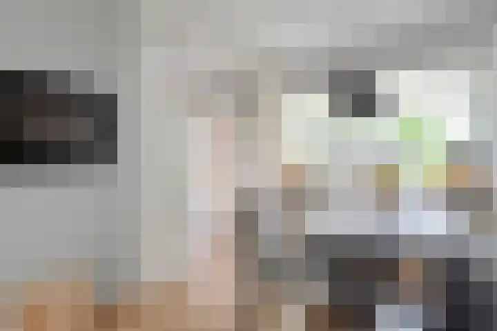 Wulp 26 Raalte thumbnail 14