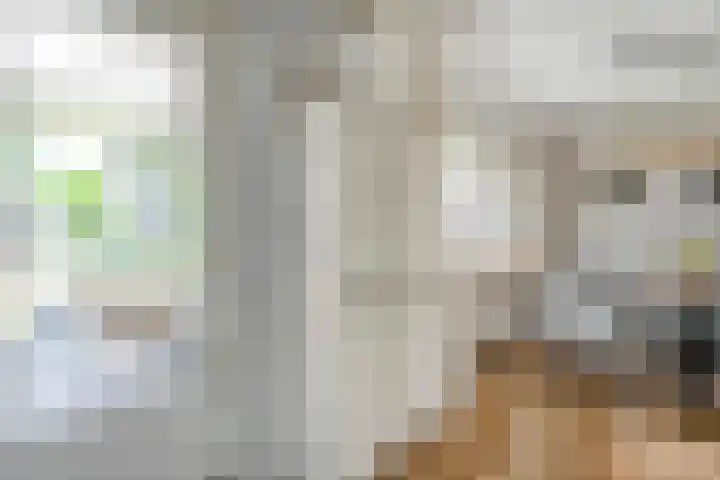 Wulp 26 Raalte thumbnail 16