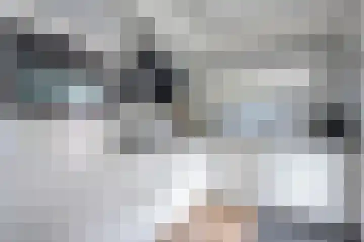 Wulp 26 Raalte thumbnail 17