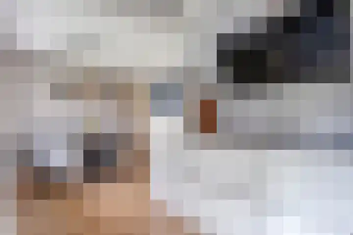 Wulp 26 Raalte thumbnail 18